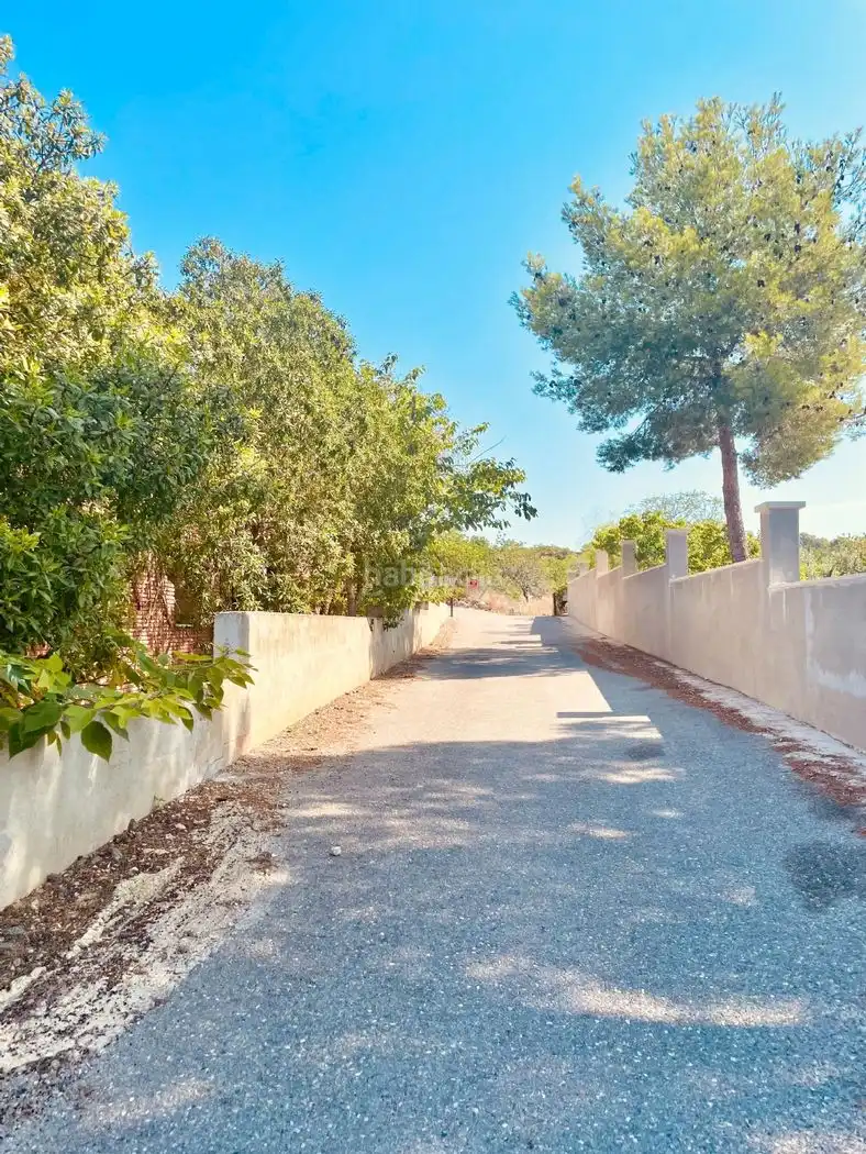 Rural land for sale in Calle Piscina 3305, imagen 13