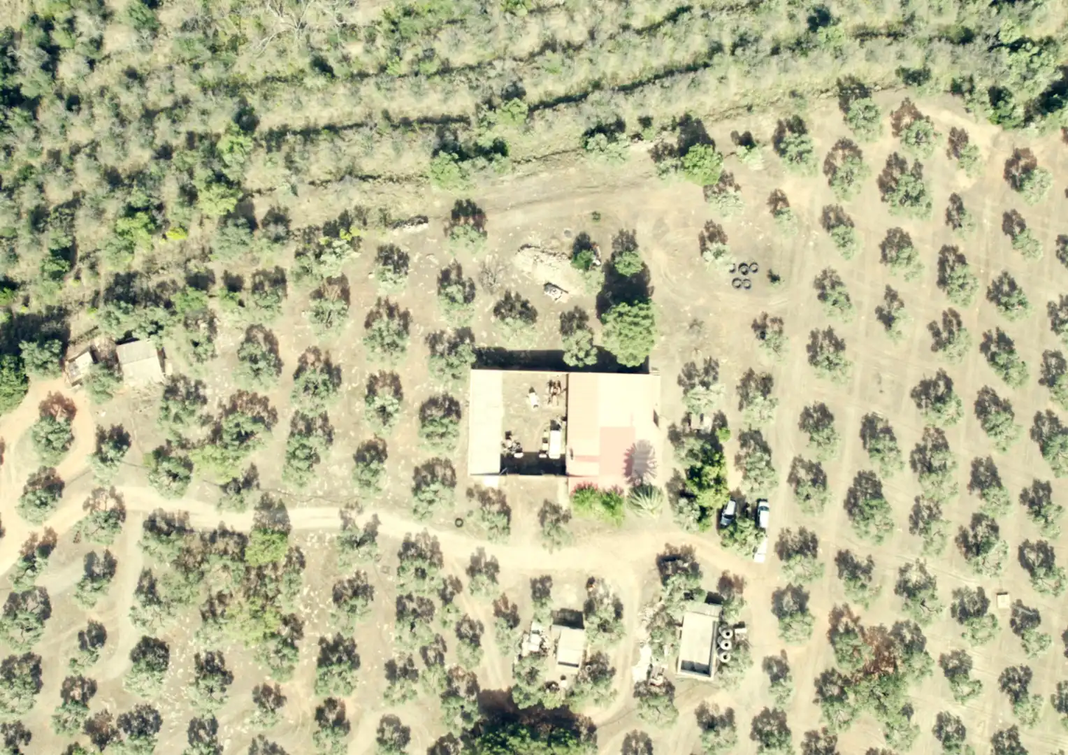 Finca rústica en venta en La Palma del Condado con Jardín privado, Terraza y Trastero