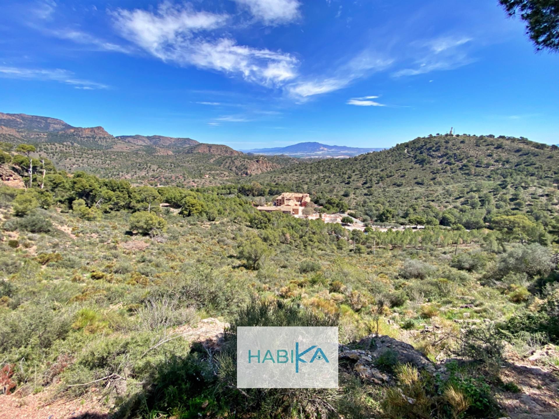 Building for sale in Aledo