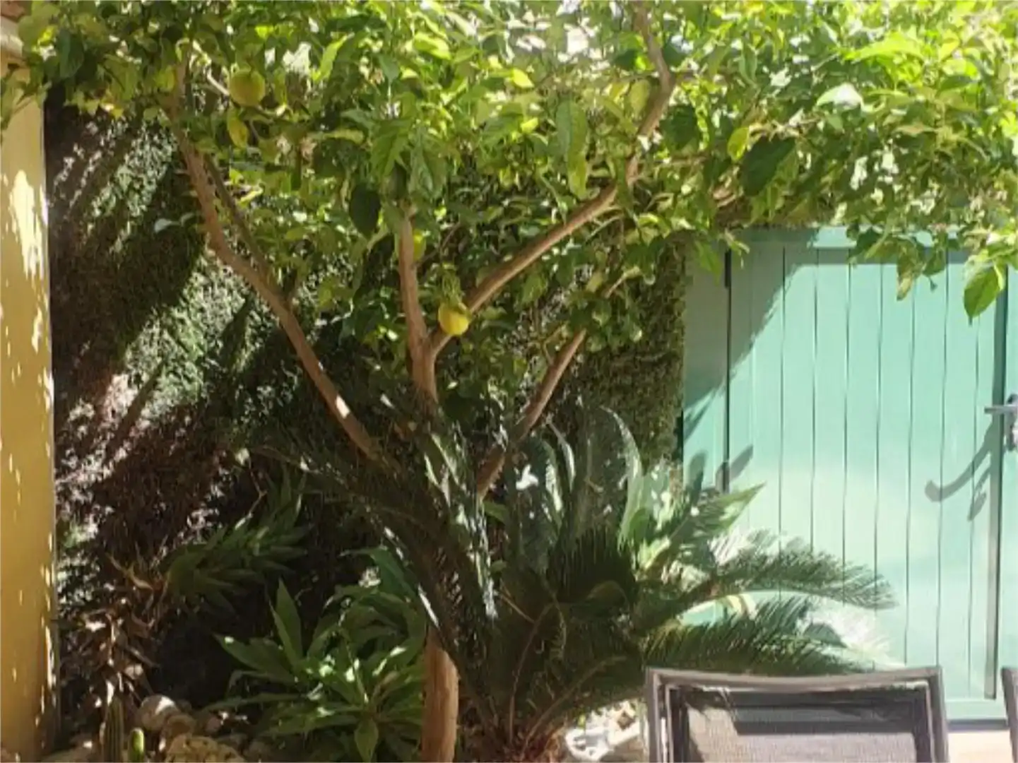 Jardí de Casa adosada en venda en Oliva amb Aire condicionat, Piscina i Balcó