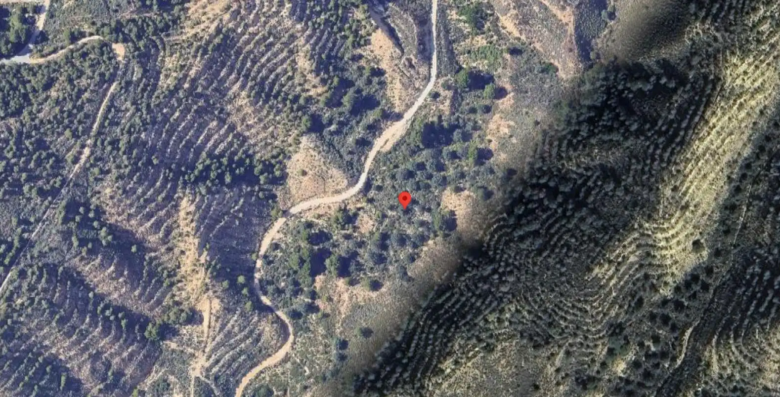 Terreny rústic en venda a Paraje Cañada de lo Garre-Poligono 225