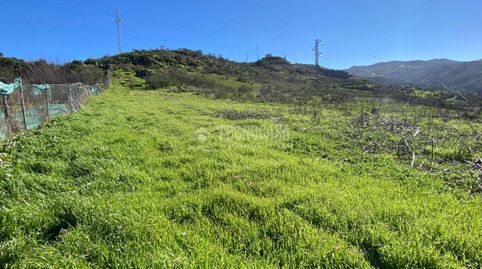 Foto 5 de Terreno en venta en Camino del Palo, Gáldar pueblo, Gáldar