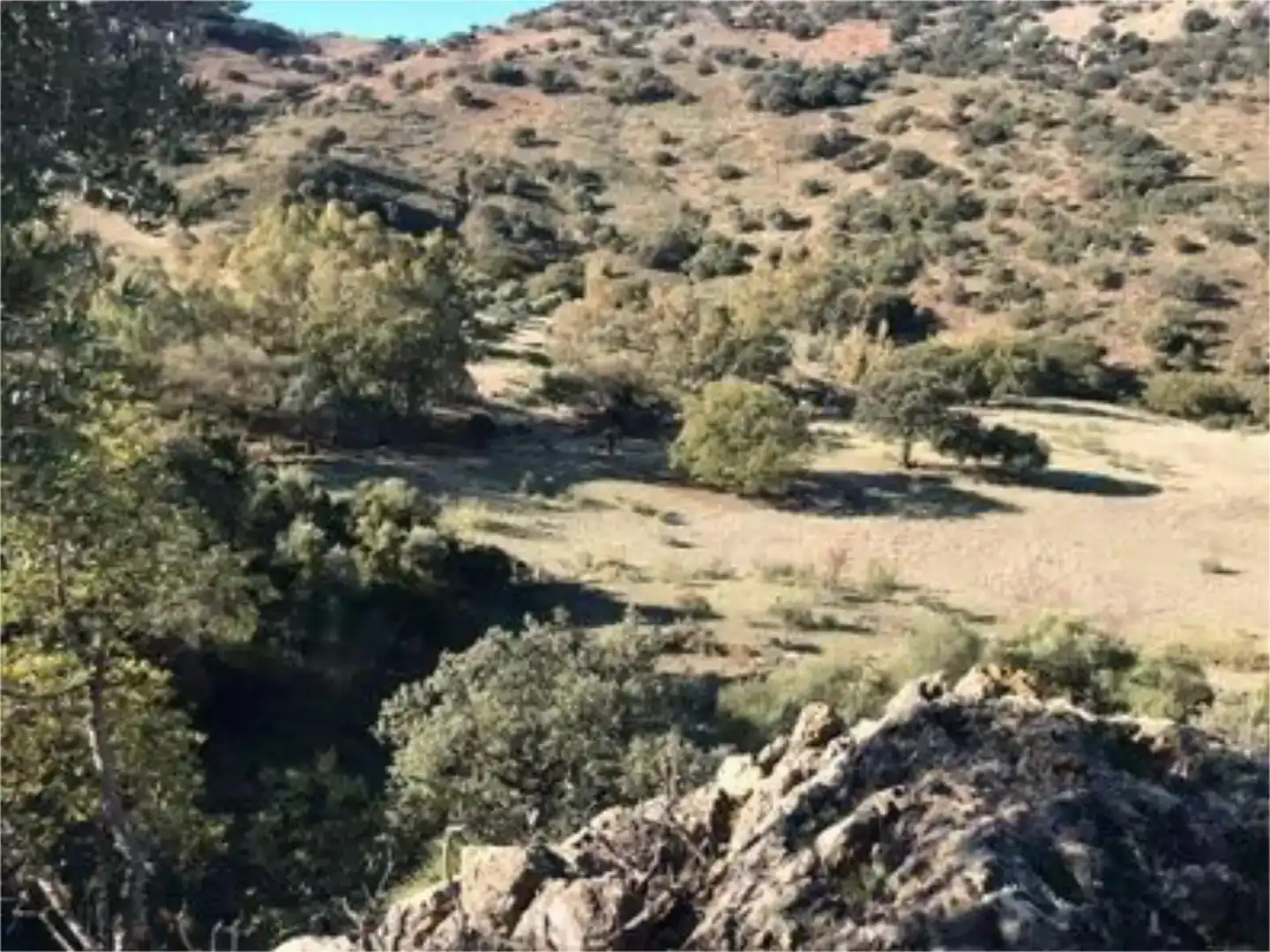 Finca rústica en venda en Algodonales