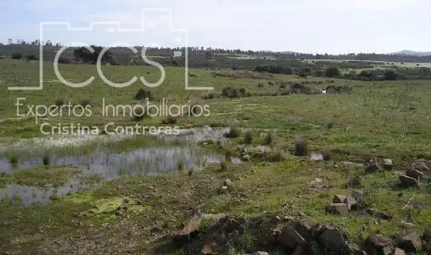 Finca rústica en venta en Cabezas Rubias