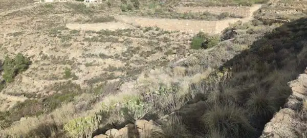 Exterior view of Land for sale in Granadilla de Abona