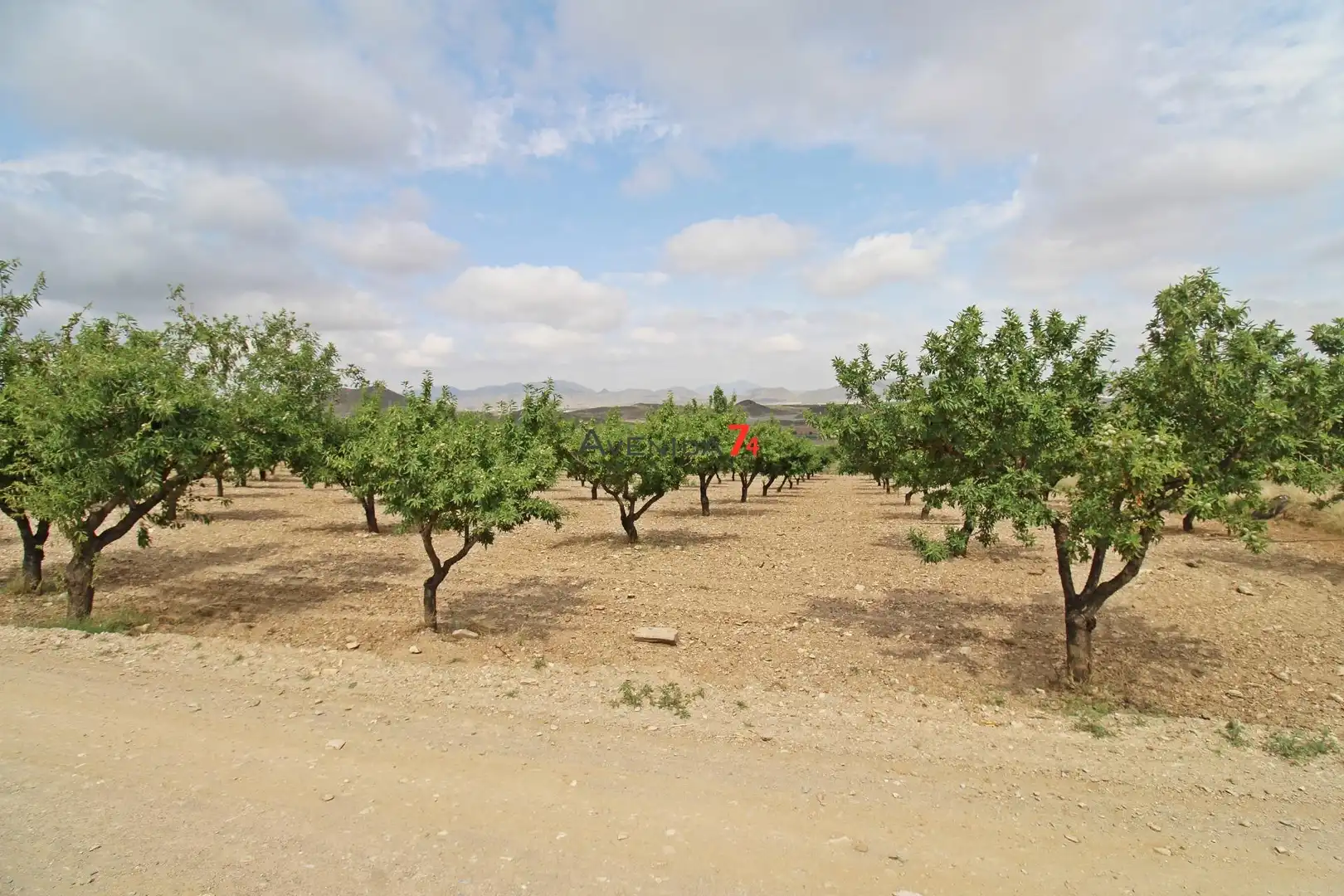 Terrains et parcelles à vendre à Pedanías Sur, imagen 20