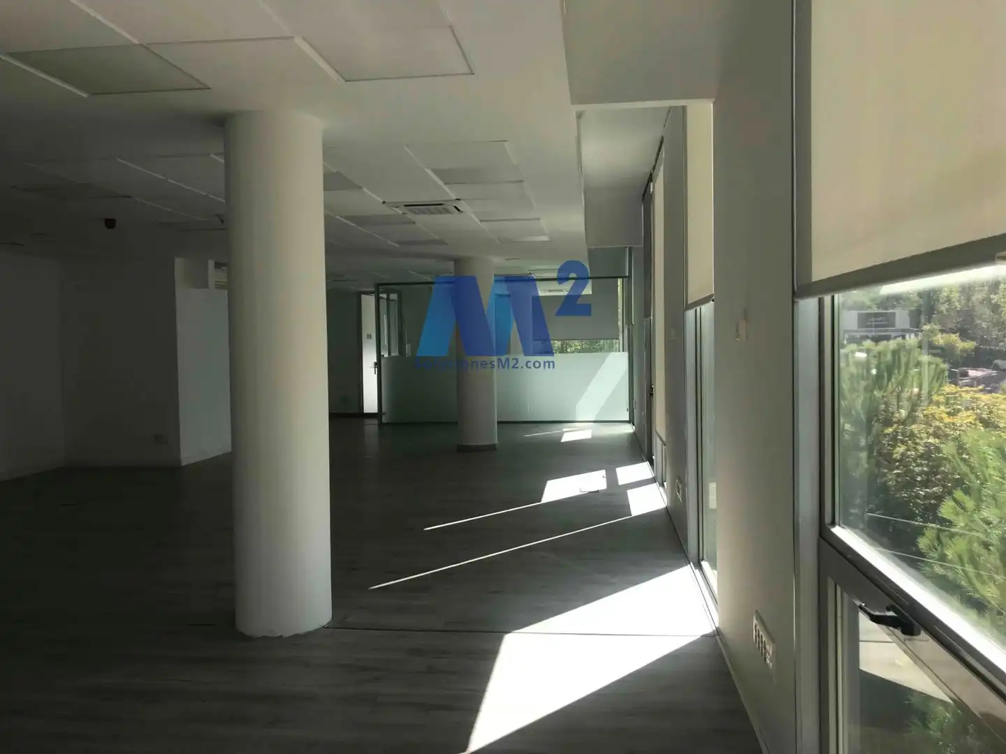 Office space to rent in Europa, imagen 34