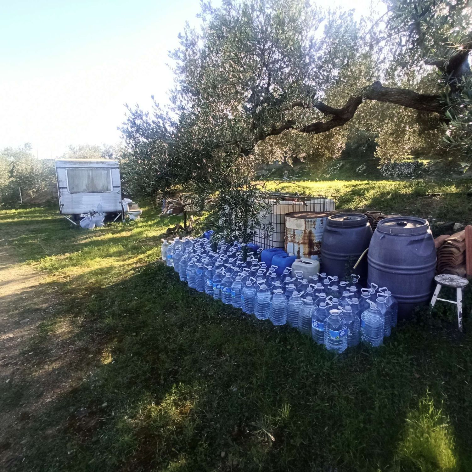 Garden of Residential for sale in L'Aleixar