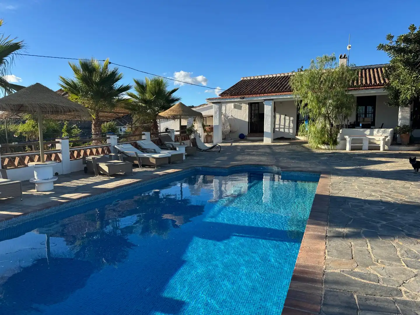 Swimming pool of Country homes for sale in Vélez-Málaga  with Air Conditioner, Heating and Private garden