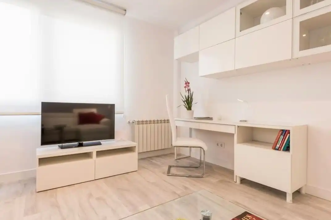 Sala d'estar de Pis de lloguer en A Coruña Capital  amb Aire condicionat, Moblat i TV