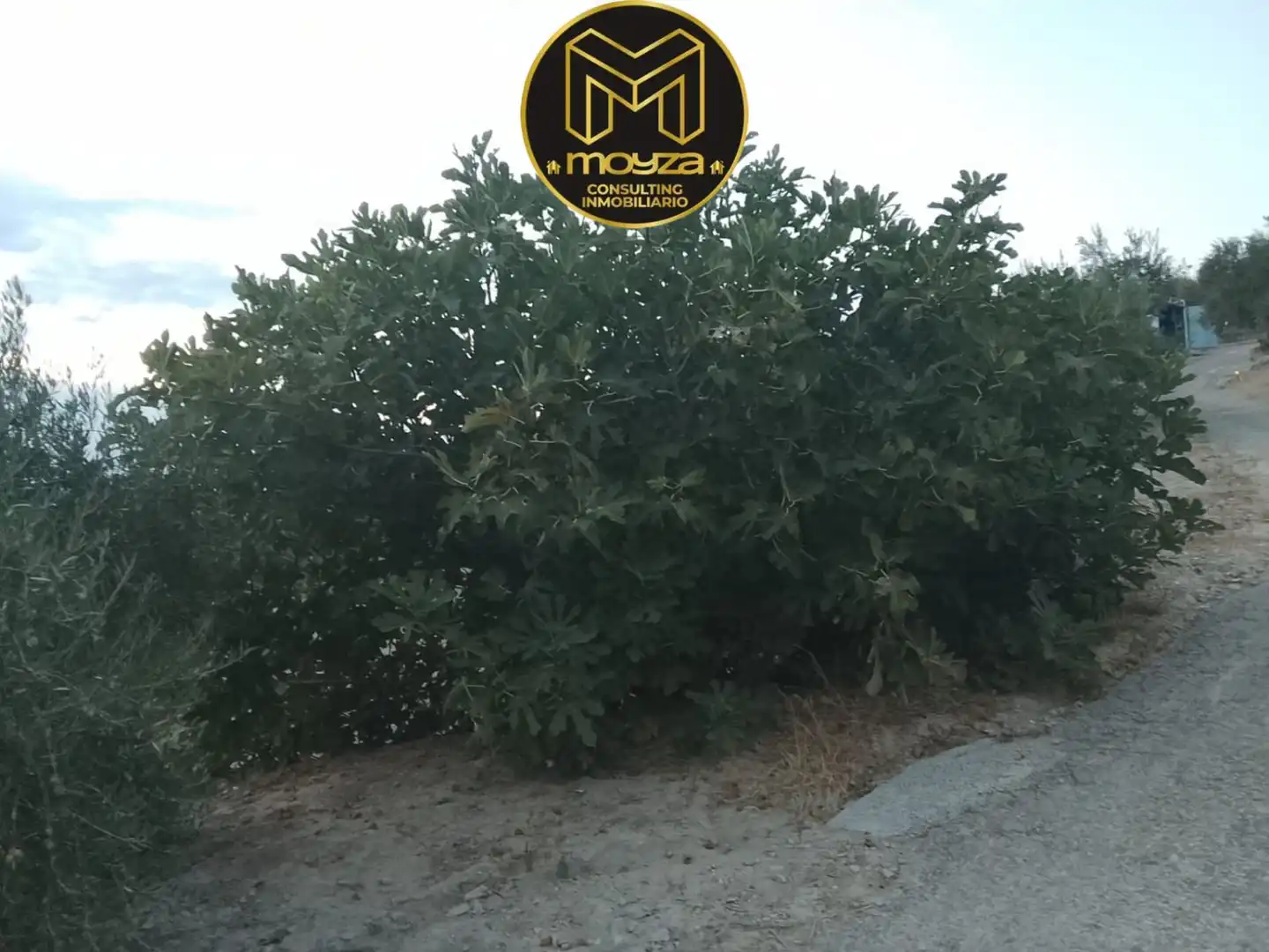 Villa in vendita a Puente Jontoya - Puente de la Sierra - El Arroyo, imagen 18