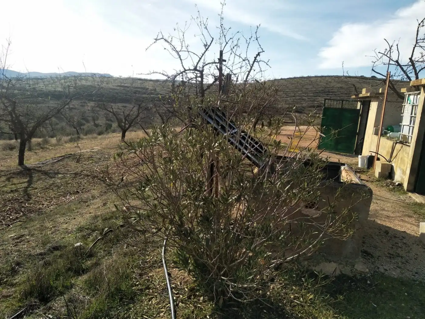 Land for sale in Padul