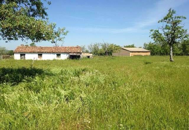 Terreno en Venta en La Fuente de San Esteban