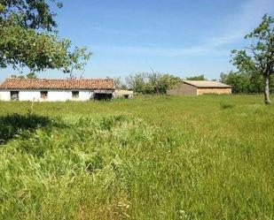 Land for sale in La Fuente de San Esteban 