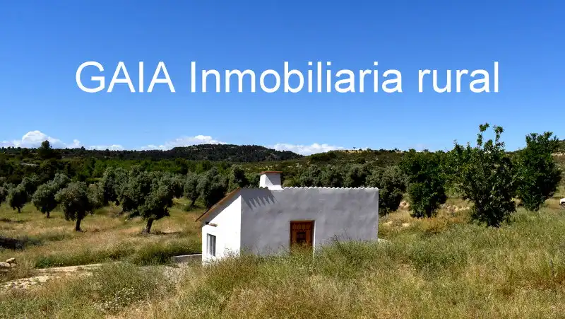 Finca rústica en venta en Maella