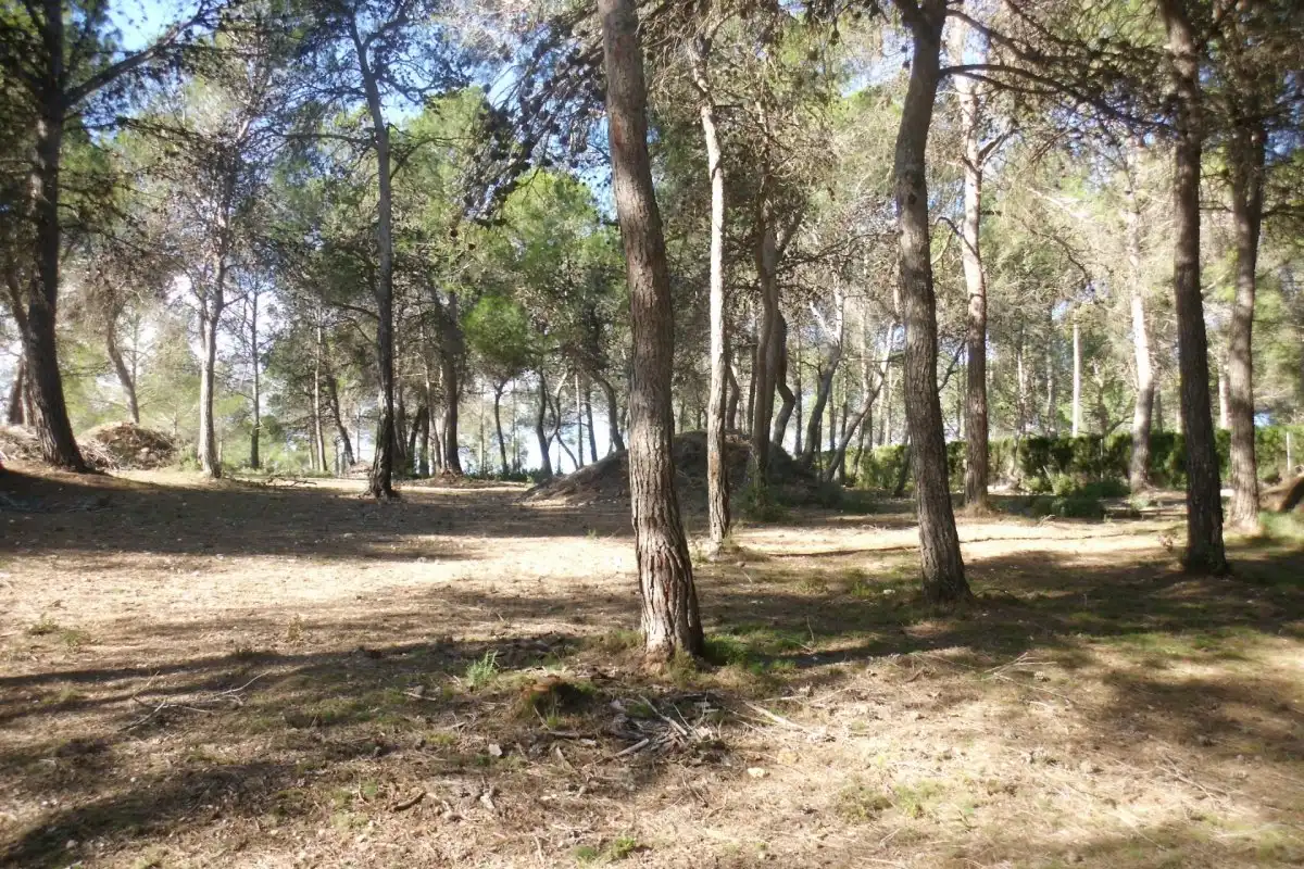 Rural land for sale in El Pilar