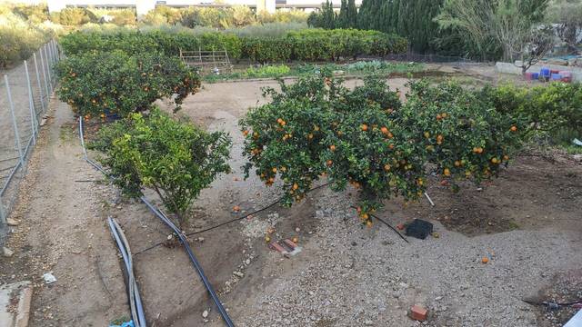 Finca rústica en Venta en Casc Antic