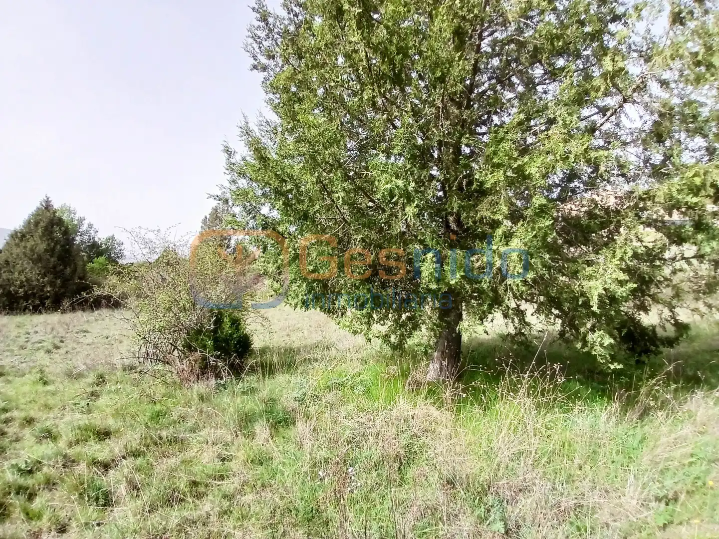 Terreny residencial en venda a Prádena, imagen 5
