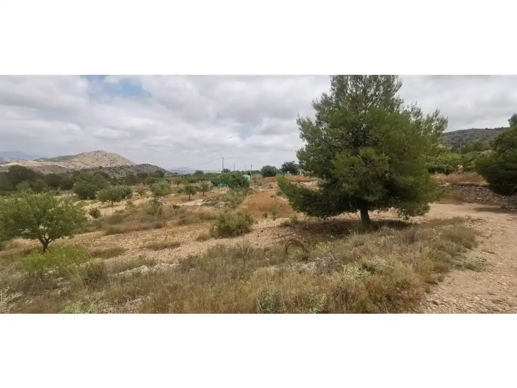 Terrain rustique à vendre à Poligono 7 Paraje 94 Umbria, imagen 3