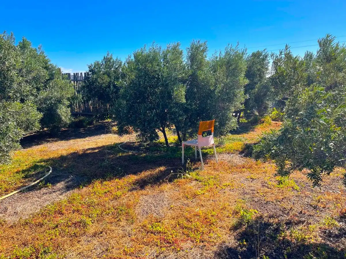 Land for sale in Ingenio