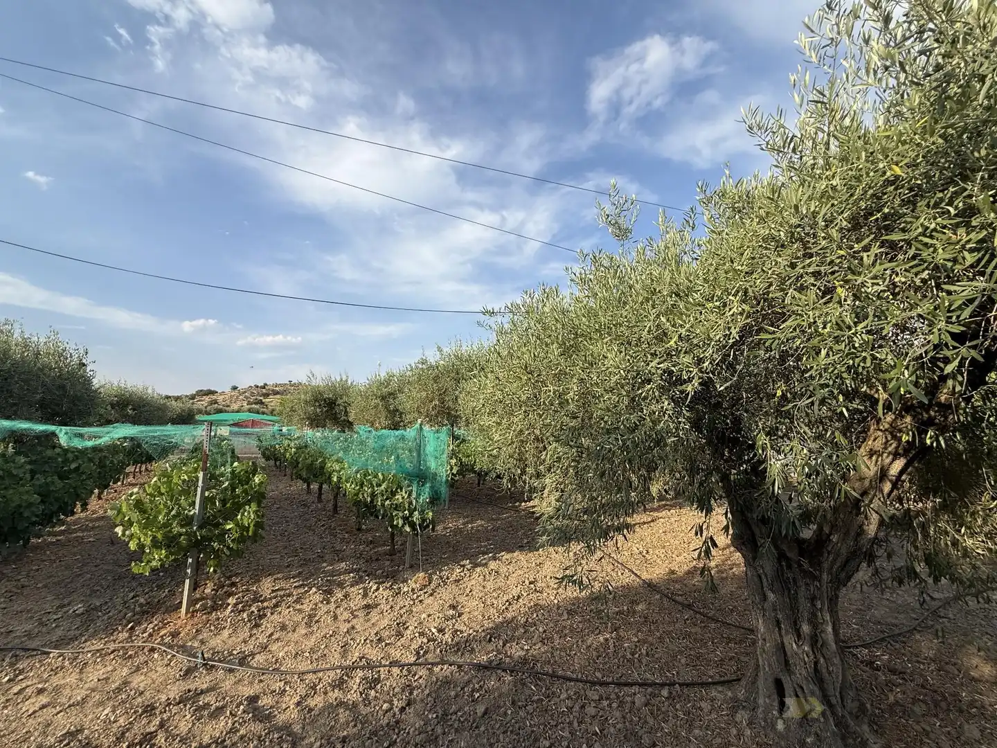 Casa o chalet en venta en Santa Amalia con Aire acondicionado, Piscina y Amueblado