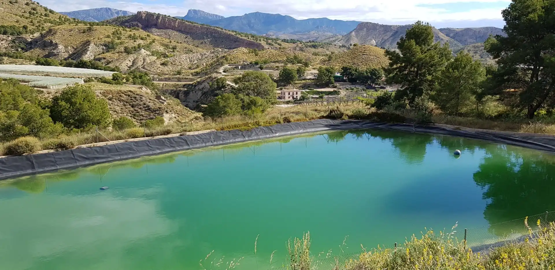 Piscina de Casa o chalet en venta en Aledo con Terraza y Trastero