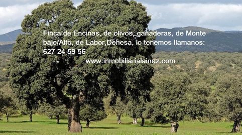 Foto 2 de Residencial en venta en San Roque - Ronda Norte, Badajoz Capital