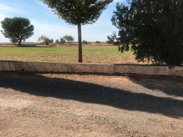 Terreno rustico in vendita a Tomelloso
