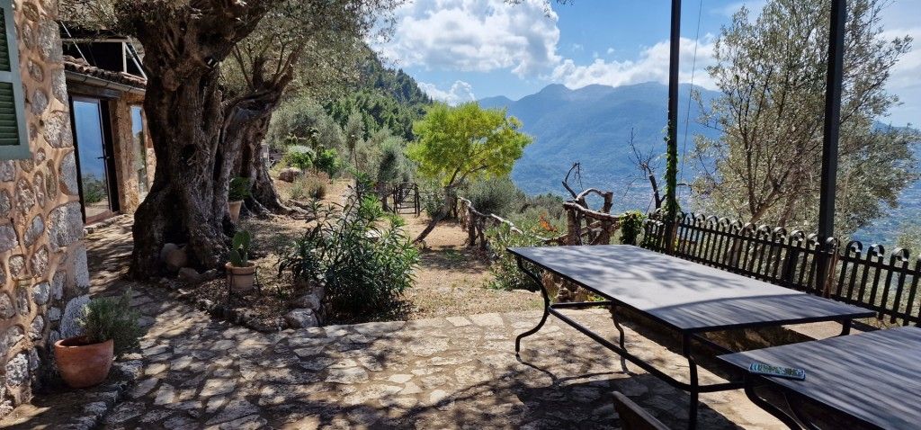 Garden of Country house for sale in Fornalutx