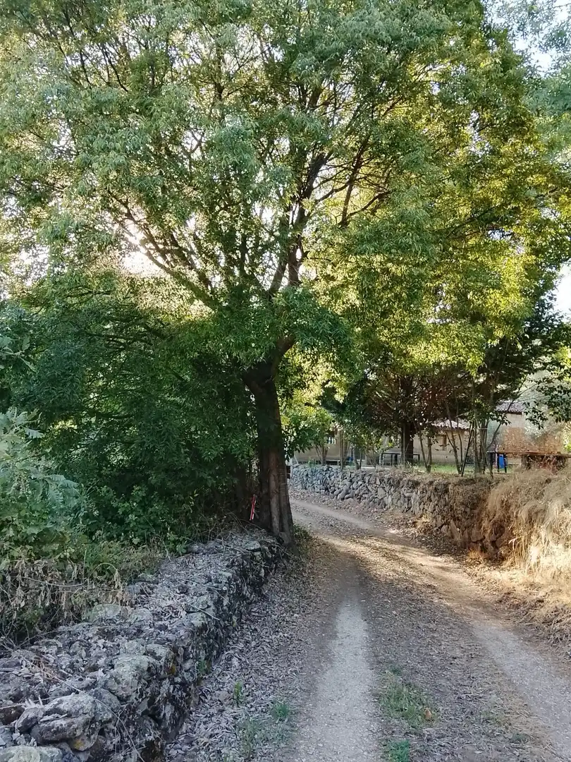 Terreni e lotti in vendita a Villanueva de la Vera, imagen 15