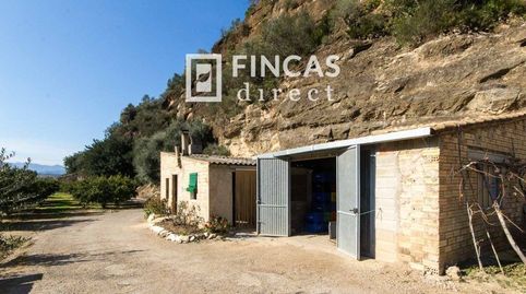 Retiro a Orillas del Ebro Casita  Almacén en 2 Parcelas, imagen 2