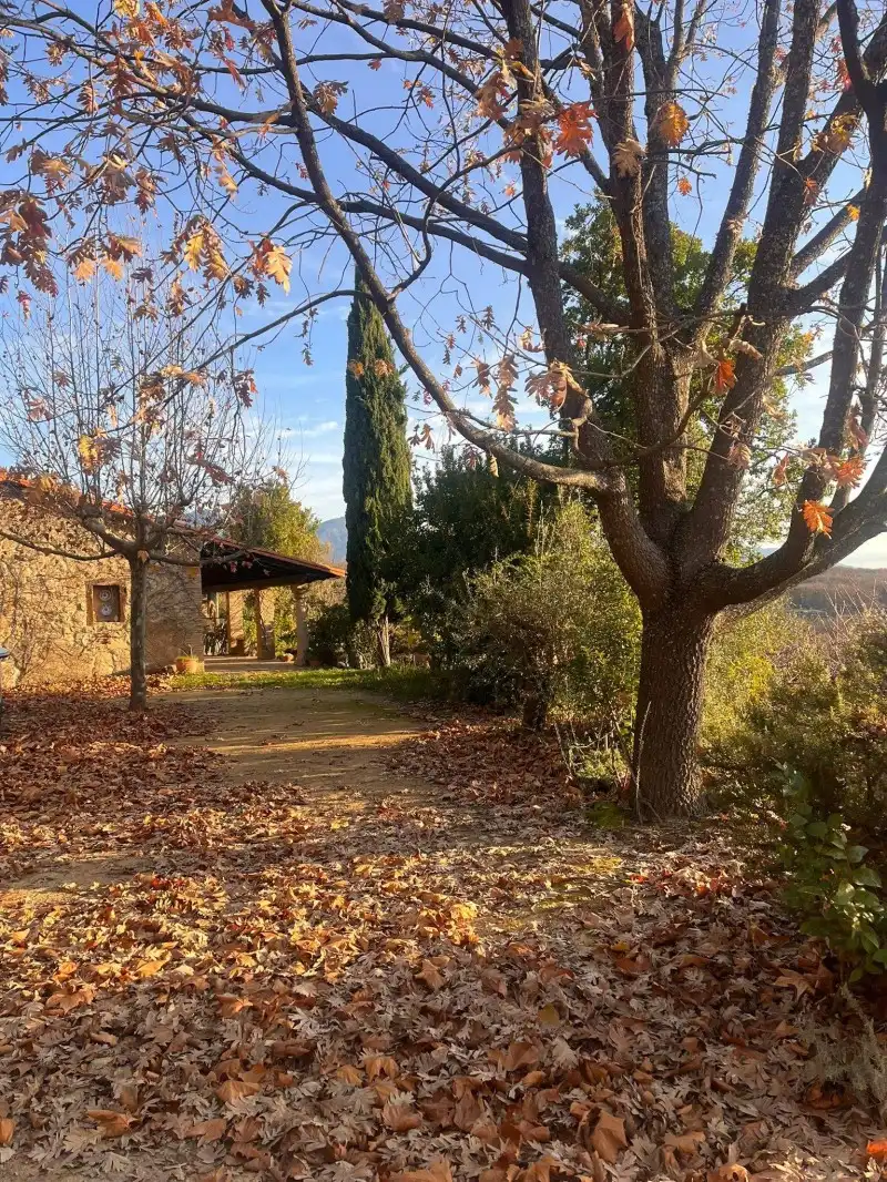 Jardín de Casa o chalet en venta en Cuacos de Yuste con Piscina