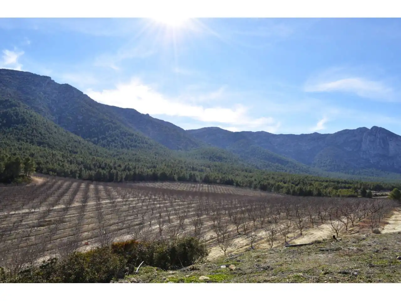 Lands and plots for sale in Pasaje Rincones y Sierra Espuña, imagen 11