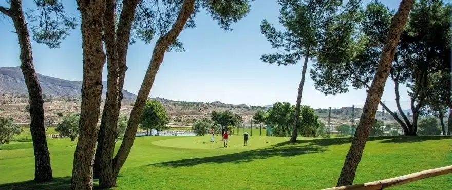 Bungalow amb piscina en venda a Monforte del Cid, imagen 23