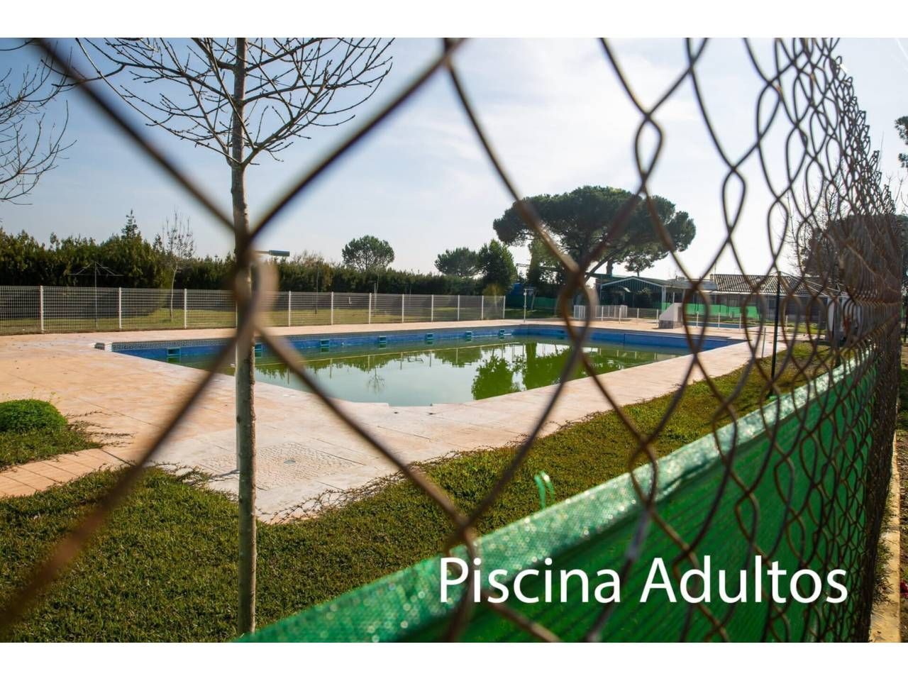 Piscina de Casa o chalet en venta en Carmona con Aire acondicionado, Calefacción y Jardín privado