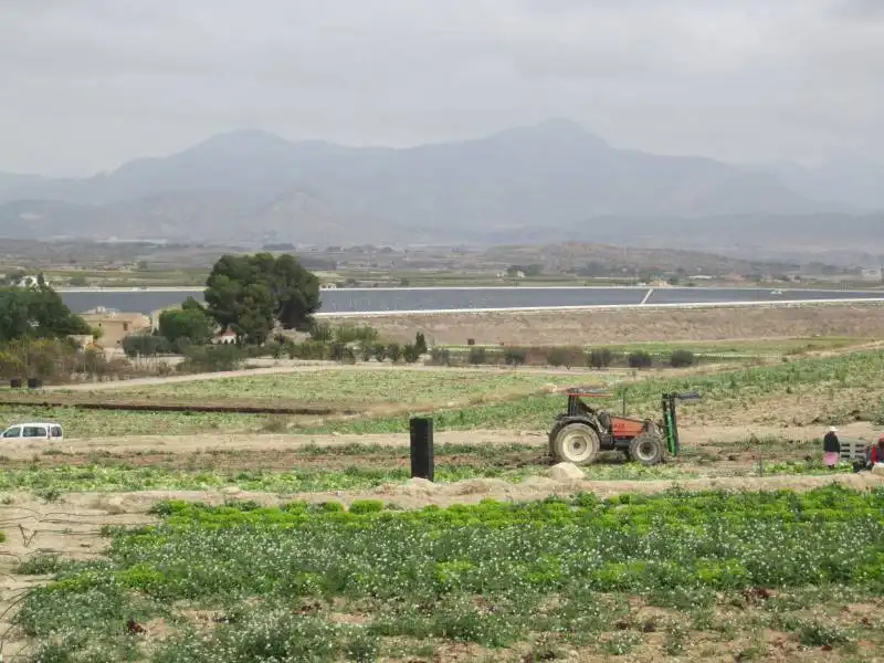 Rural land for sale in Novelda, imagen 3