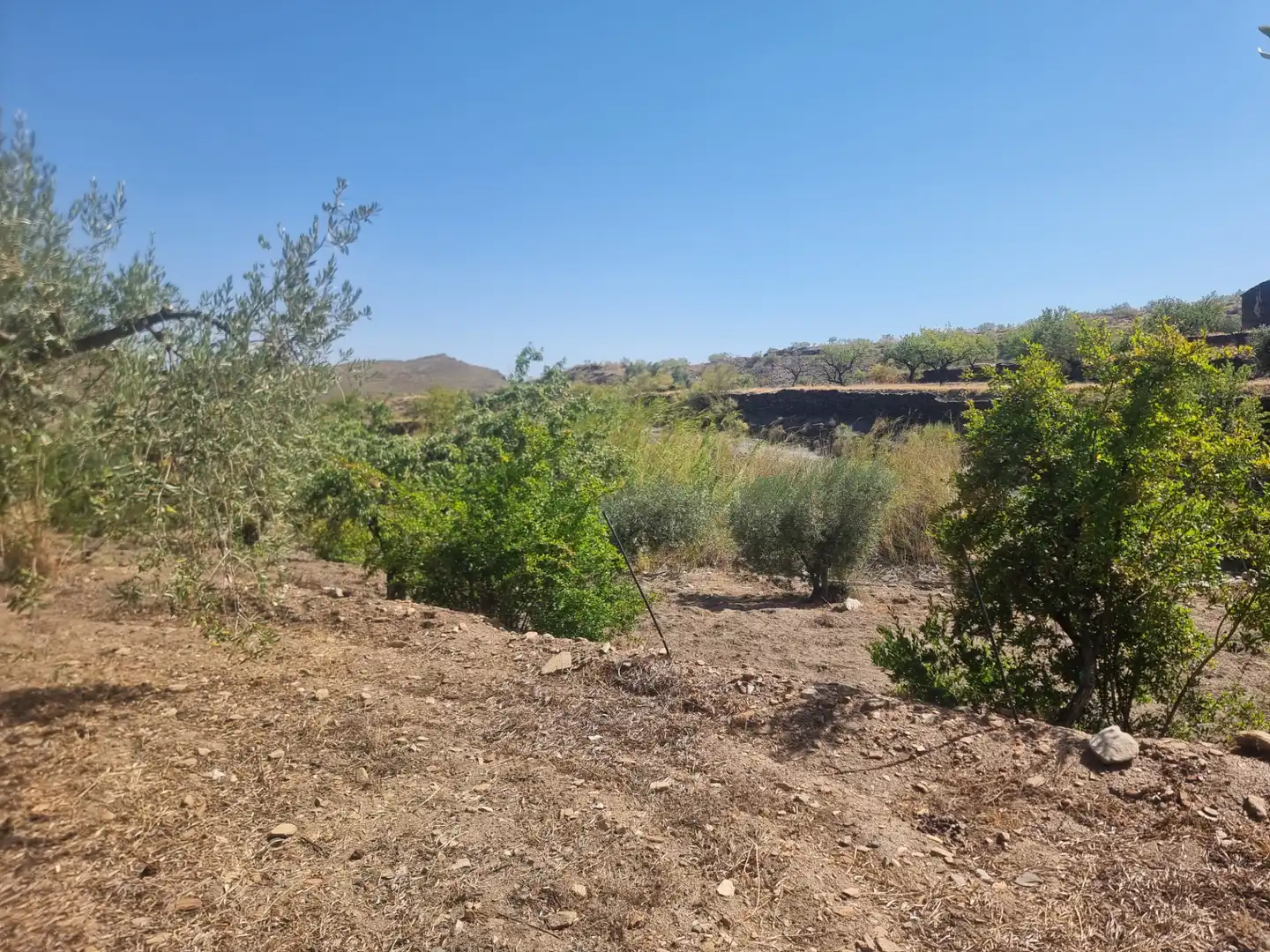 Terreno en venta en Senés
