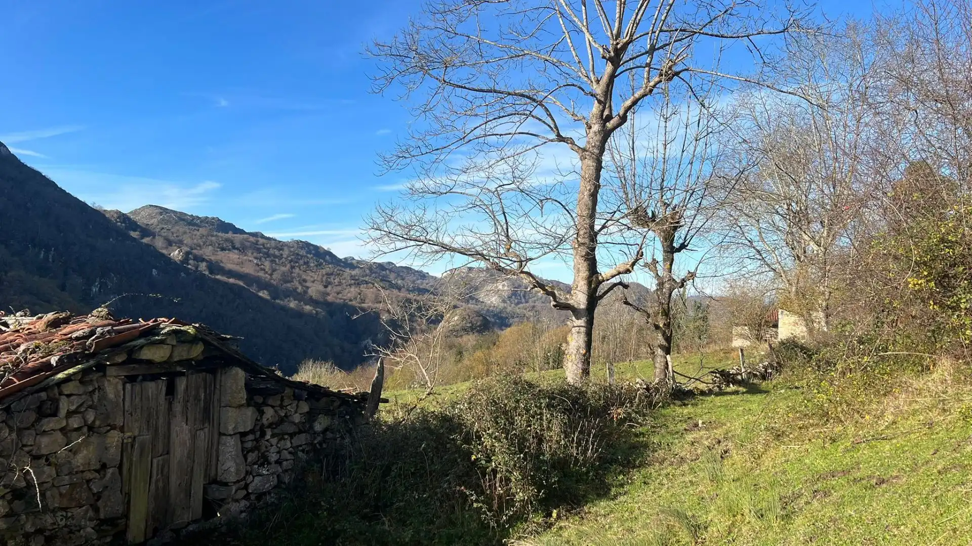 Terreno rustico in vendita a Cangas de Onís, imagen 16