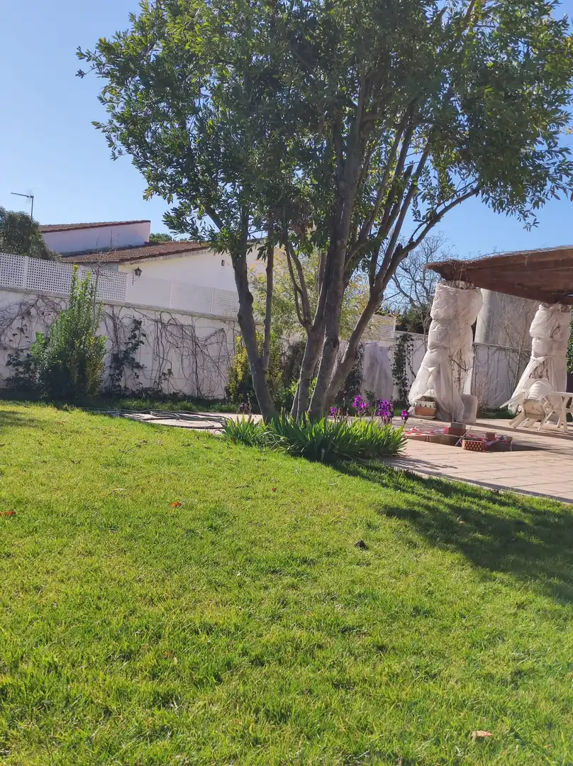 Jardín de Casa o chalet en venta en Ciudad Real con Aire acondicionado, Calefacción y Jardín privado