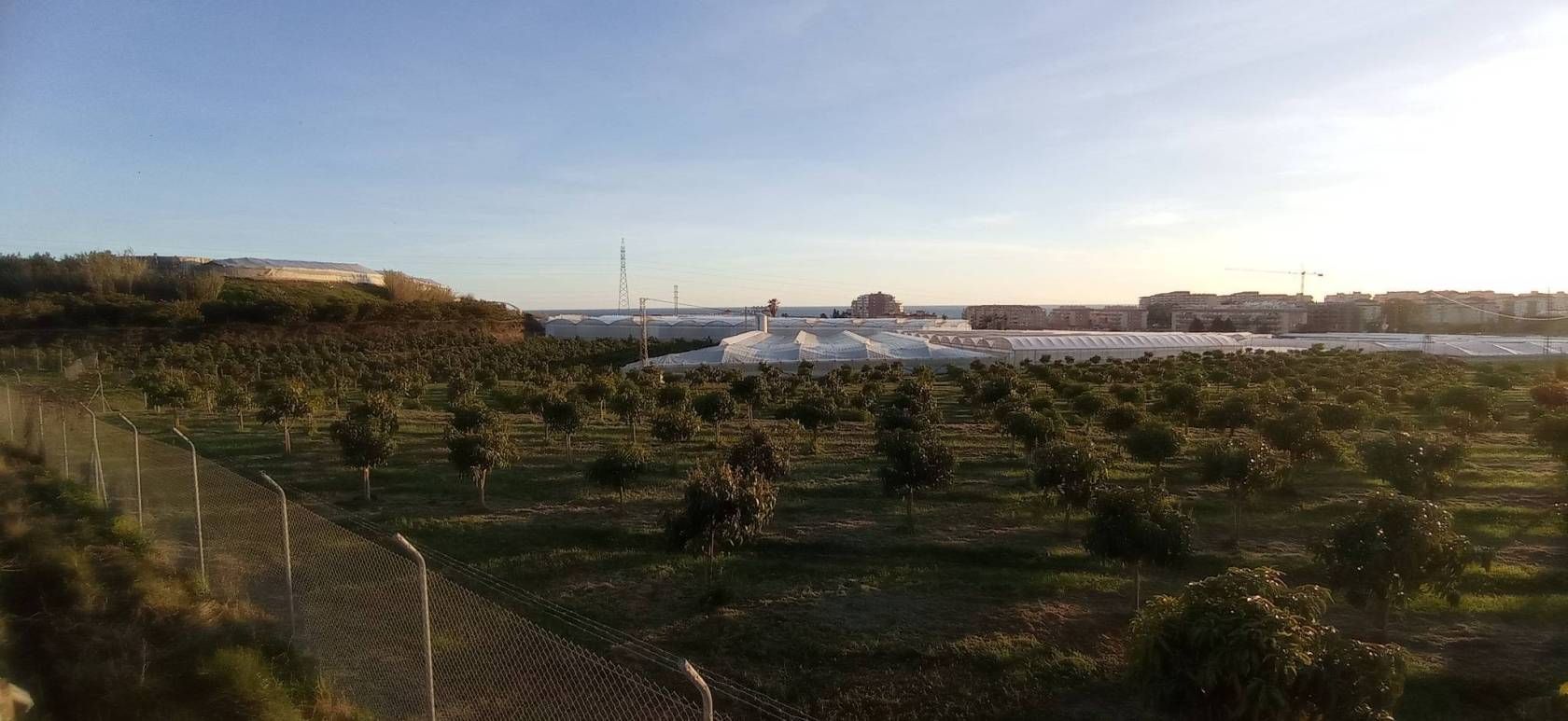 Garden of Land for sale in Algarrobo