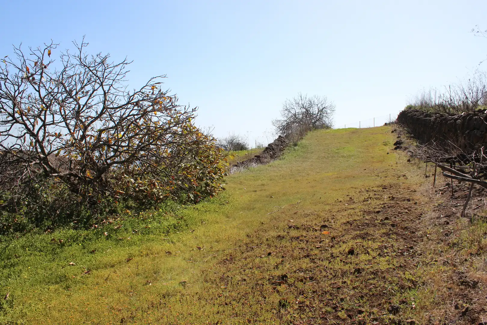 Rustikales Grundstück zum Verkauf in Machado - Las Barreras, imagen 18