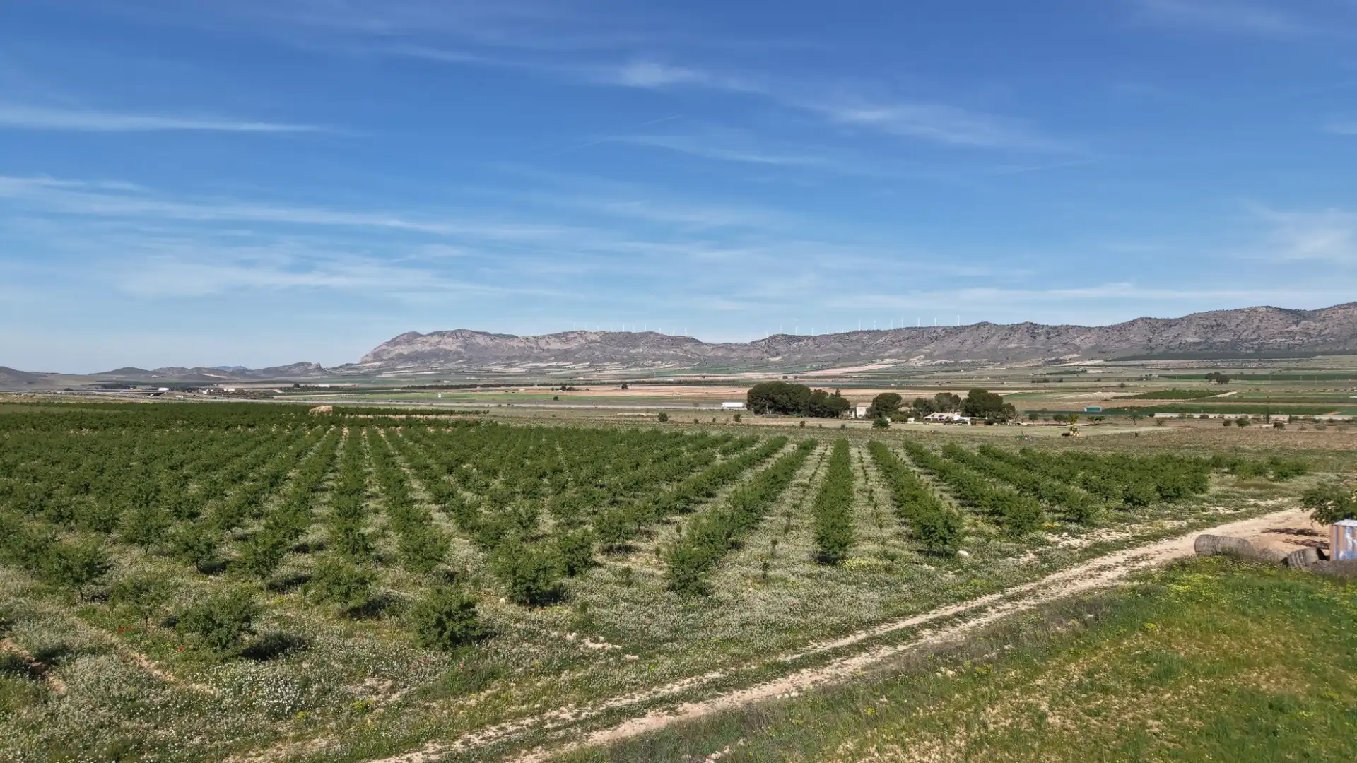 Residential land for sale in Yecla, imagen 2