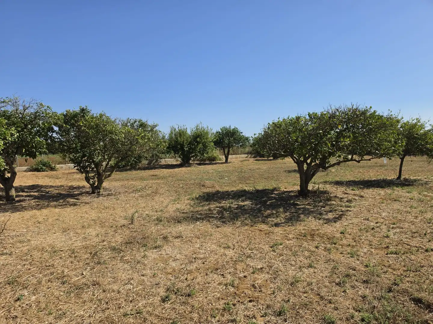 Rural land for sale in Calle Verea de la tarde, imagen 12