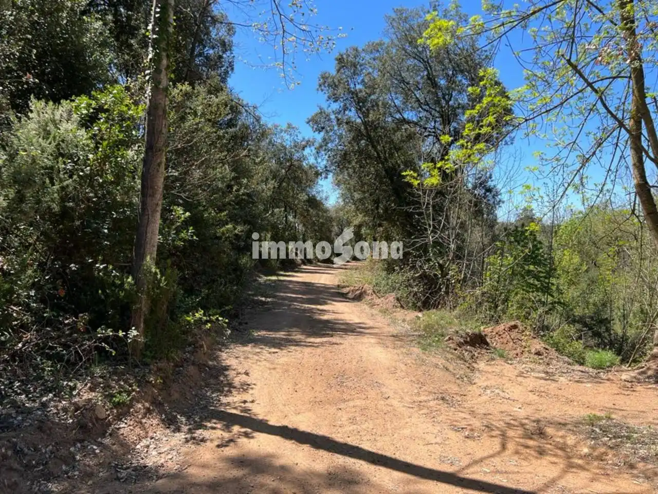 Terreno rustico in vendita a Vilanova de Sau, imagen 5