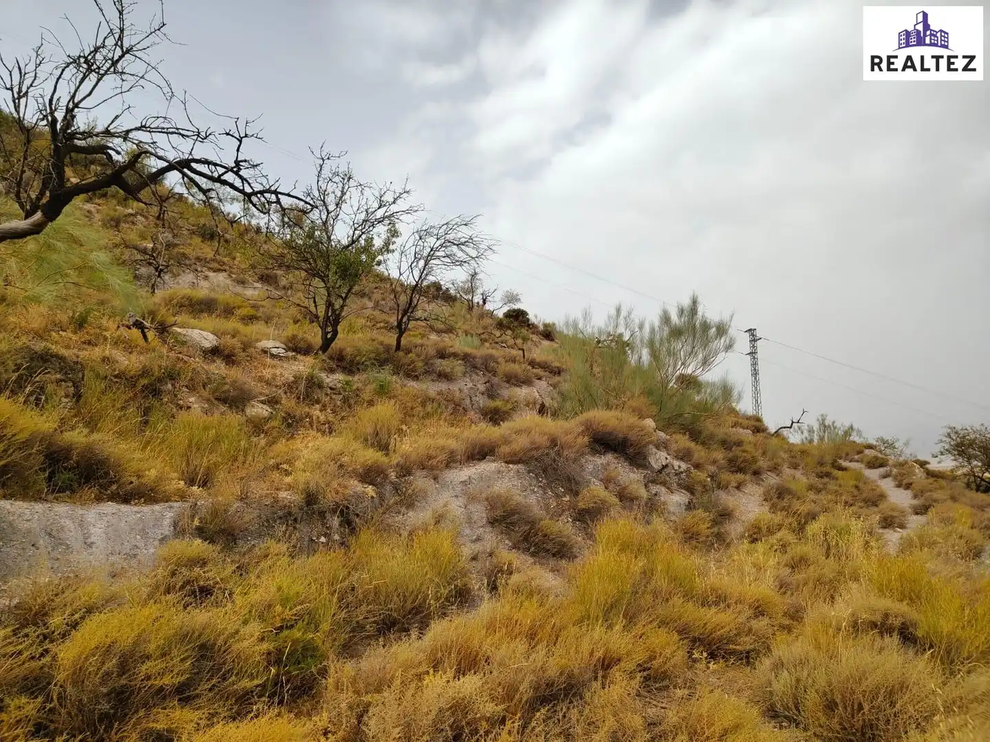 Terrain rustique à vendre à Alcolea, imagen 5