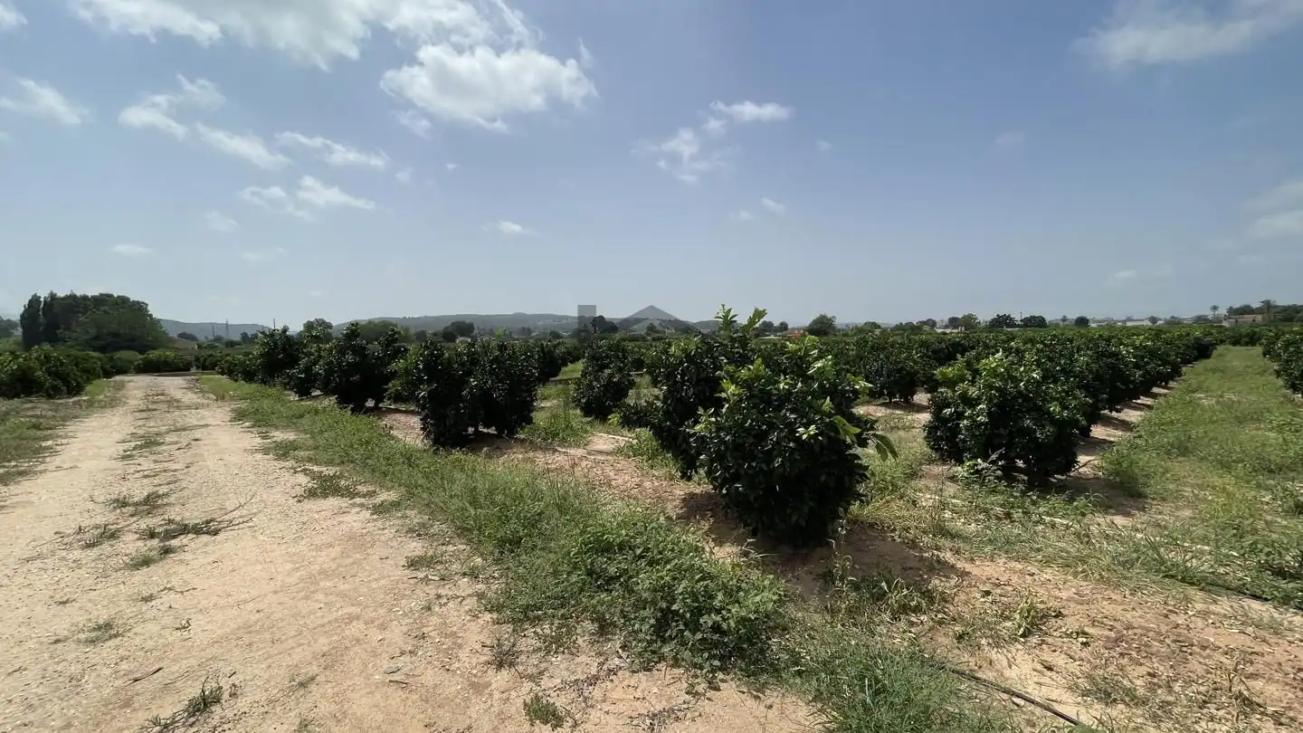 Finca rústica en venda en Alzira