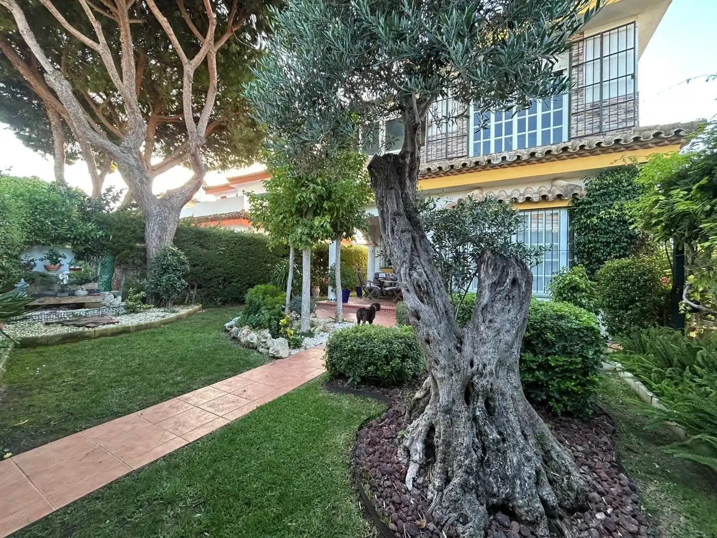 Xalet amb jardí en venda a Sancti Petri, imagen 62