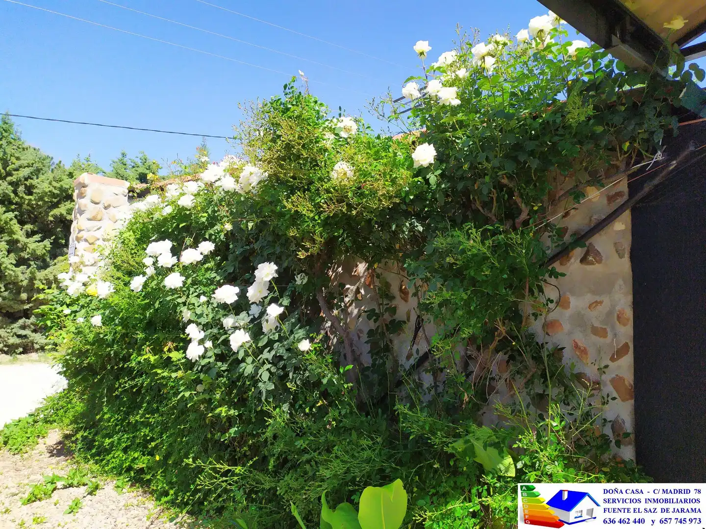 Jardín de Casa o chalet en venta en Fuente El Saz de Jarama con Aire acondicionado, Calefacción y Jardín privado