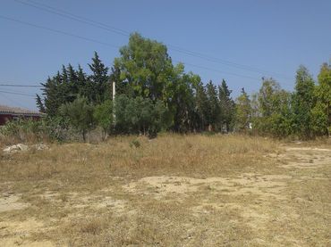 Terreny residencial en venda a Alcalá de los Gazules