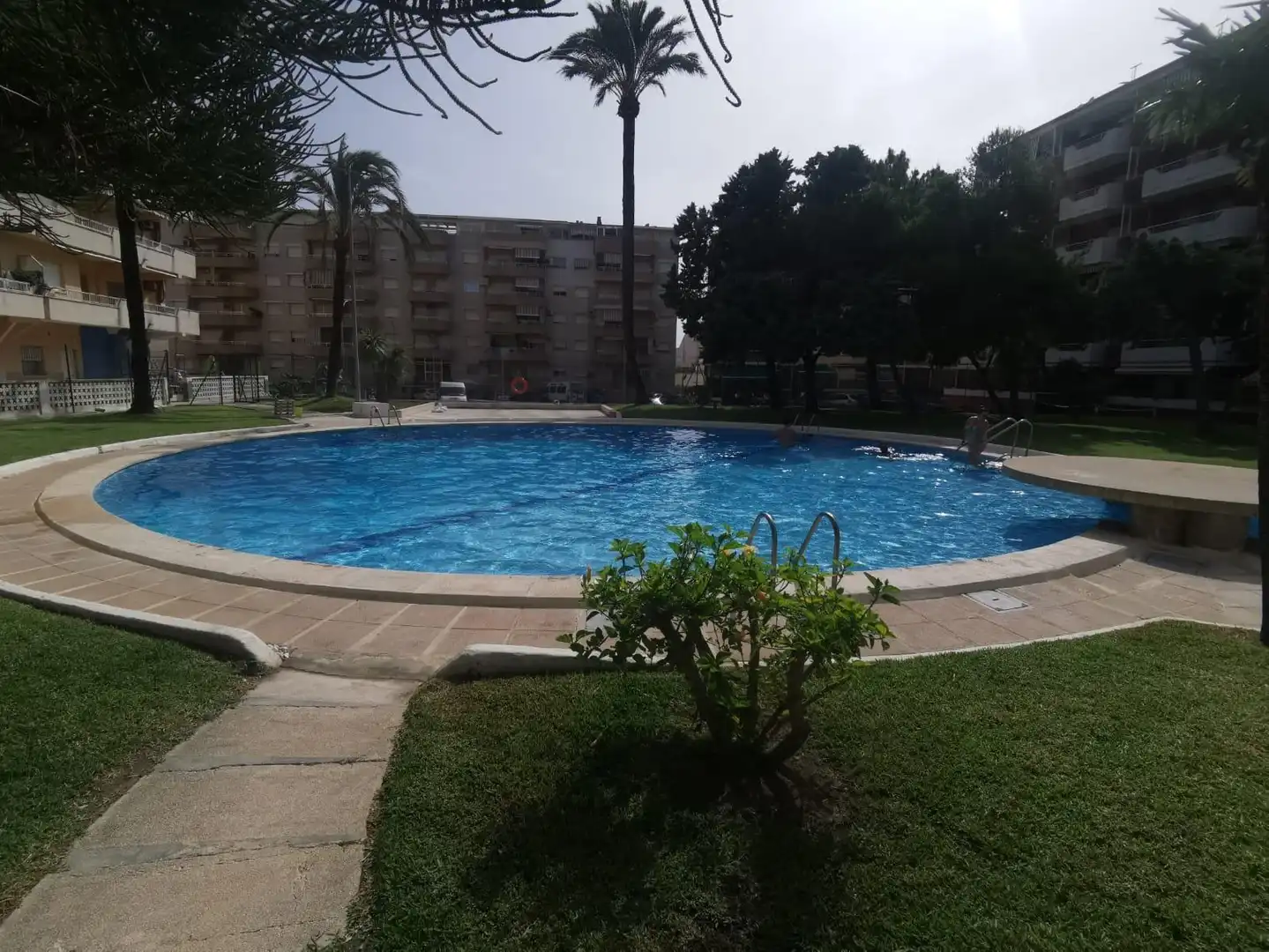 Gewerbefläche zum Verkauf in Daimús, imagen 28